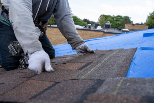 Best Slate Roofing Contractor  in Stacy, MN