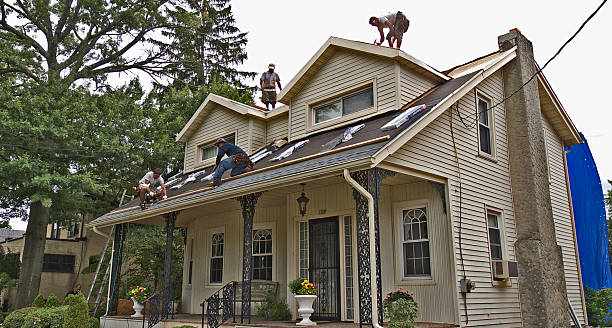 Best Storm Damage Roof Repair  in Stacy, MN